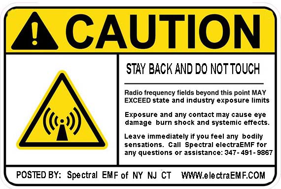 what are emf safe levels