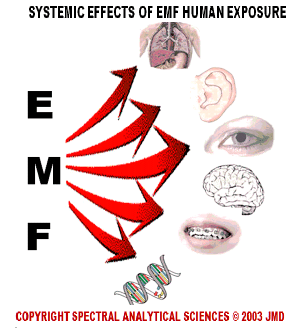 electromagnetic radiation risks using emf testing meter for exposure measurements
